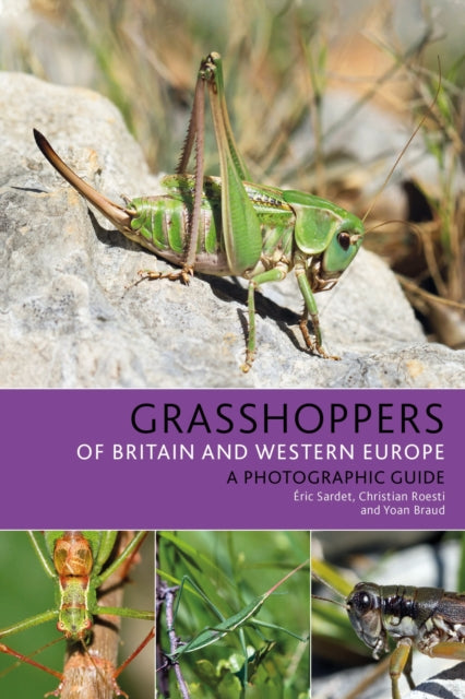 Grasshoppers of Britain and Western Europe: A Photographic Guide - Christian Roesti,Eric Sardet,Yoan Braud