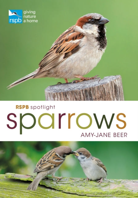 RSPB Spotlight Sparrows-9781472955937