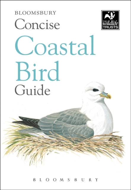 Concise Coastal Bird Guide-9781472963819