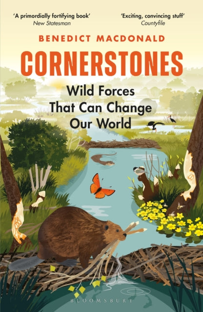 Cornerstones : Wild Forces That Can Change Our World-9781472971593