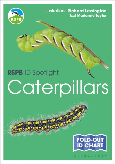 RSPB ID Spotlight - Caterpillars - Marianne Taylor