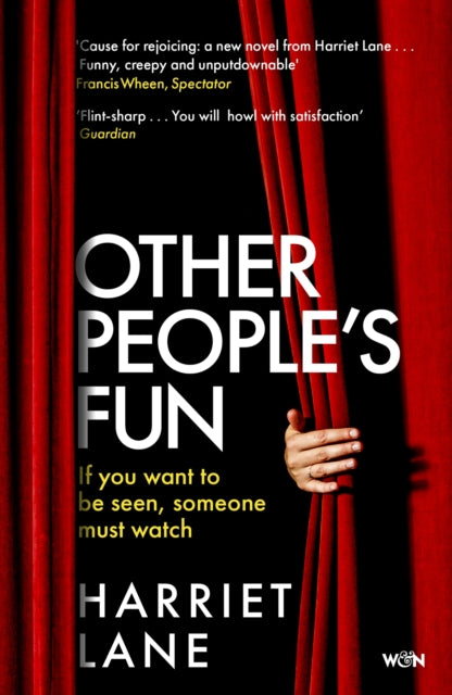 Other People's Fun : A wickedly funny literary thriller for the Instagram age-9781474602846