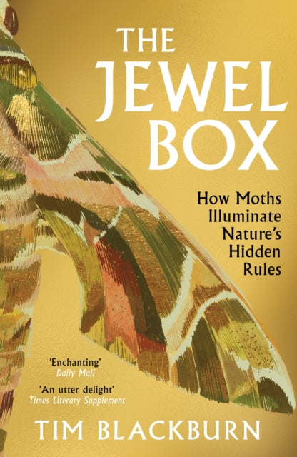 The Jewel Box : How Moths Illuminate Nature’s Hidden Rules-9781474624541