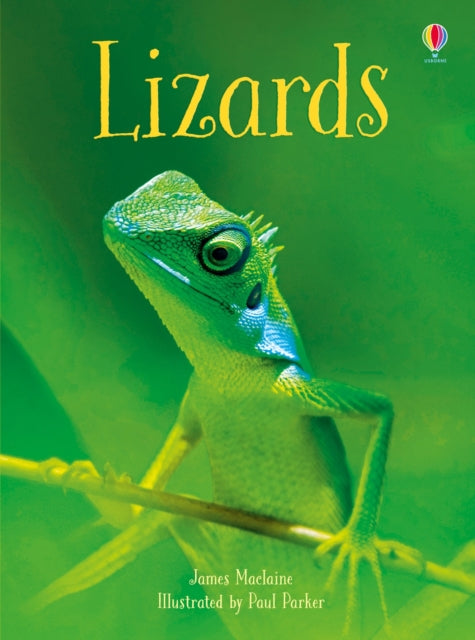 Lizards - James Maclaine