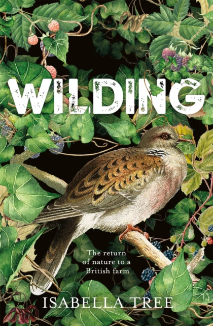 Wilding: The Return of Nature to a British Farm - Isabella Tree
