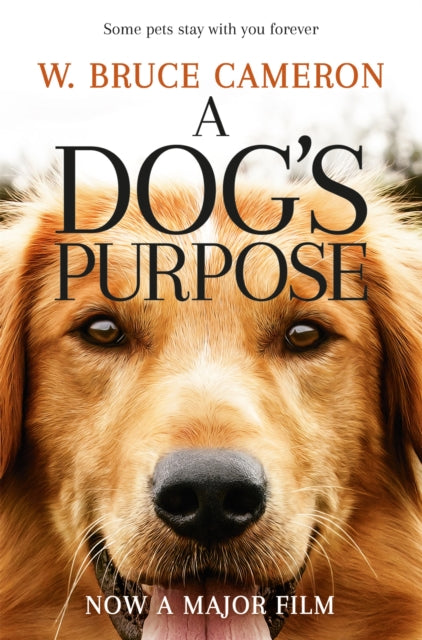 A Dog&#39;s Purpose-9781509852826