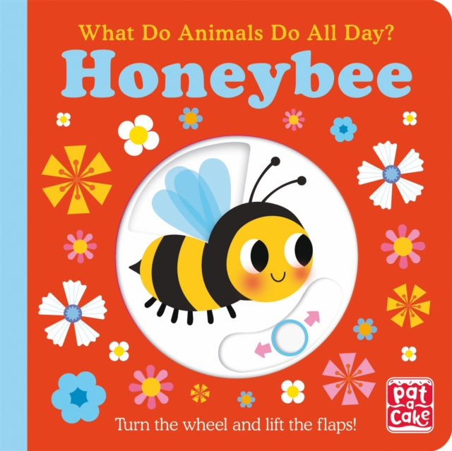 What Do Animals Do All Day?: Honeybee: Lift the Flap Board Book - Pat-a-Cake