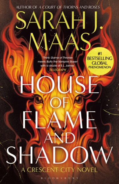 House of Flame and Shadow : -9781526650344