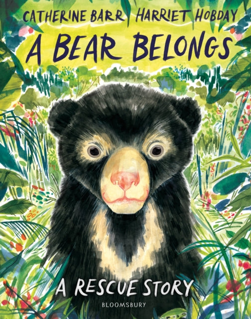 A Bear Belongs : A rescue story-9781526655684
