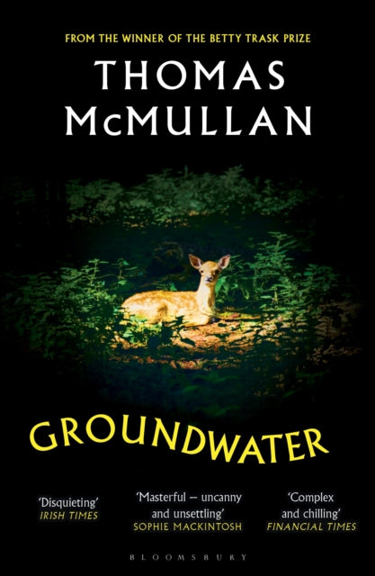Groundwater : ‘Complex, chilling, masterful' Financial Times-9781526678003