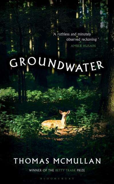 Groundwater-9781526678027