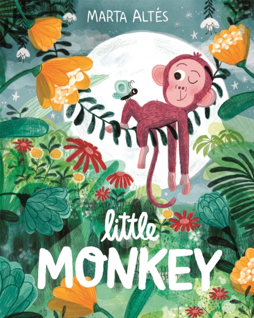 Little Monkey-9781529045093