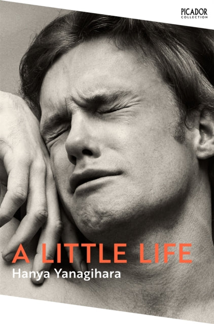 A Little Life-9781529077216