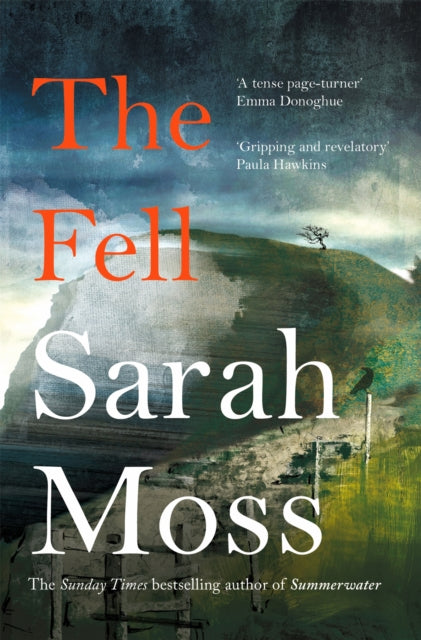 The Fell-9781529083248