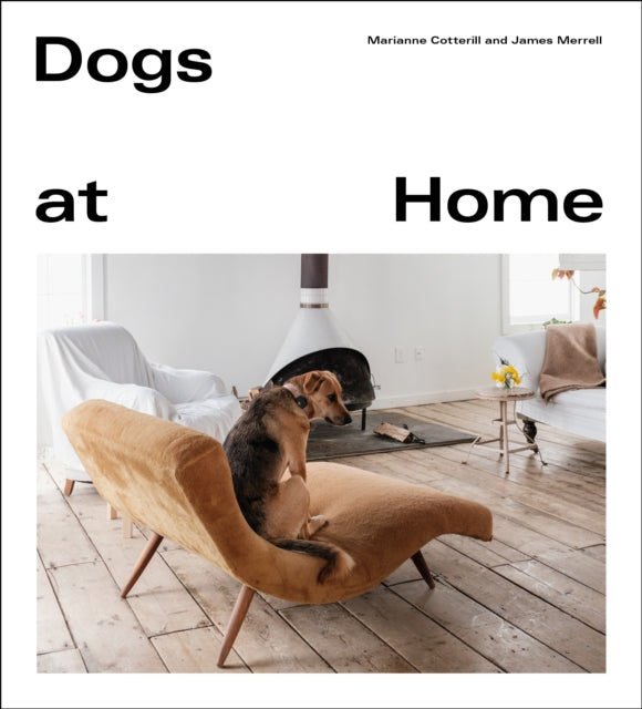 Dogs at Home - Marianne Cotterill