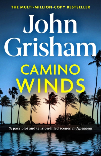 Camino Winds : The Ultimate  Murder Mystery from the Greatest Thriller Writer Alive-9781529342499