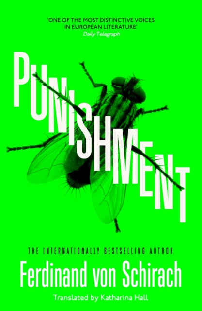 Punishment : The gripping international bestseller-9781529345698