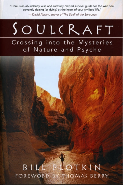 Soulcraft : The Shamanic Journey to Nature and Your Soul's True Purpose-9781577314226
