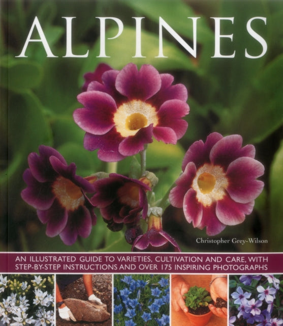 Alpines-9781780193663