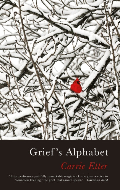 Grief's Alphabet-9781781727508