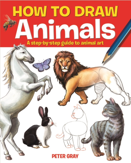 How to Draw Animals-9781782122869