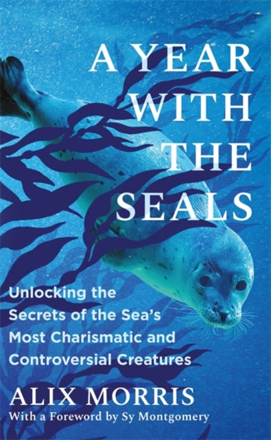 A Year with the Seals : Unlocking the Secrets of the Sea's Most Charismatic and Controversial Creatures-9781785127625
