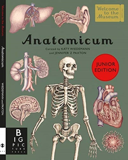 Anatomicum Junior - Jennifer Z Paxton