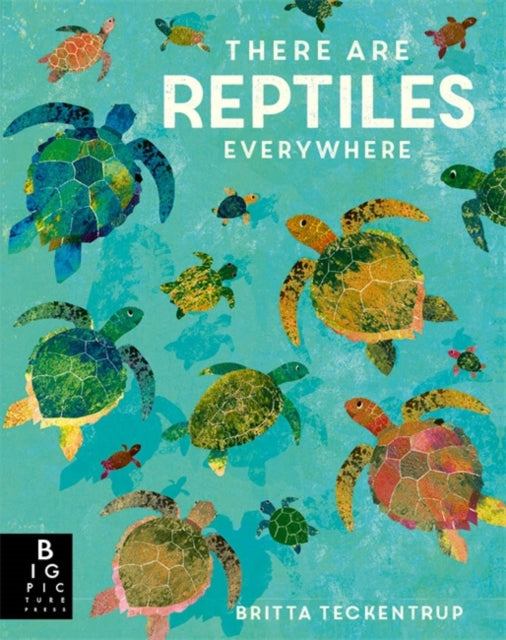 There are Reptiles Everywhere-9781787419094