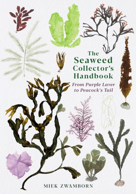 The Seaweed Collector&#39;s Handbook: From Purple Laver to Peacock&#39;s Tail - Miek Zwamborn