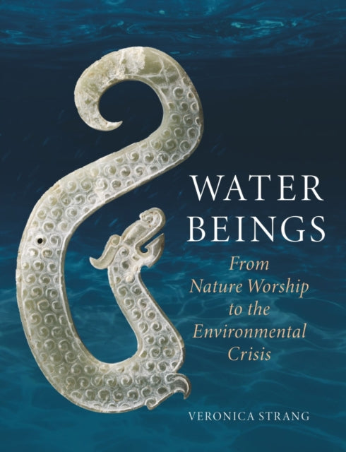 Water Beings : From Nature Worship to the Environmental Crisis-9781789146882