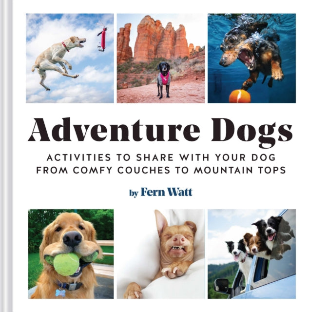 Adventure Dogs: Activities to Share with Your Dog-from Comfy Couches to Mountain Tops - Lauren Watt