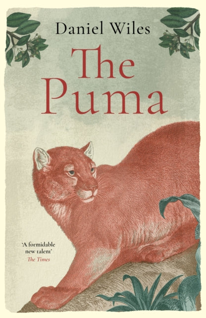 The Puma : 'A formidable new talent' The Times-9781800753686