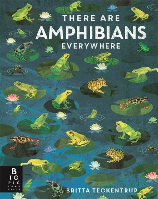 There Are Amphibians Everywhere-9781800787124