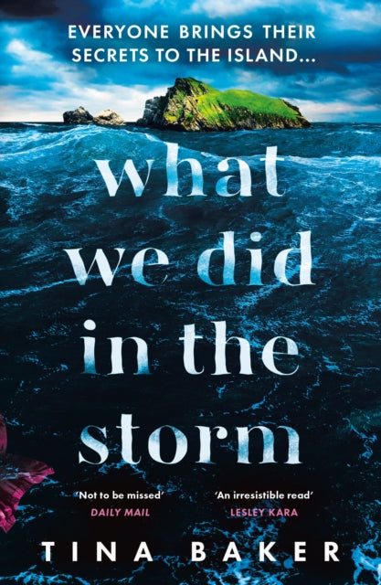 What We Did In The Storm-9781800811867