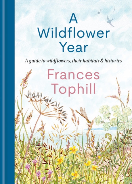 A Wildflower Year : A Guide to Wildflowers, their Habitats & Histories-9781804192788