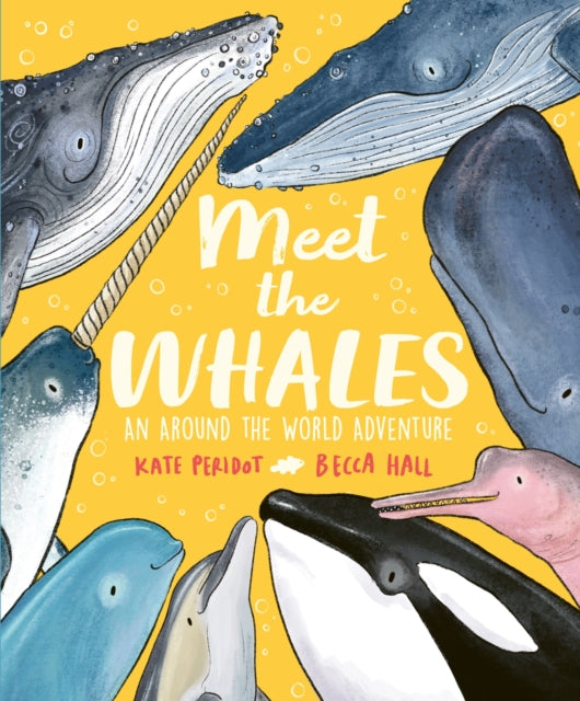 Meet the Whales-9781804537060