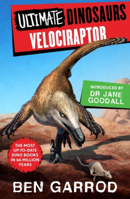 Velociraptor-9781804549704