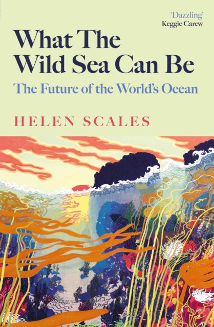 What the Wild Sea Can Be : The Future of the World's Ocean-9781804710500