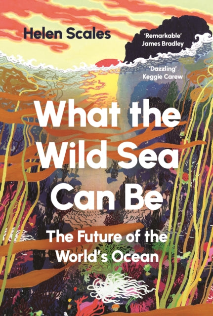 What the Wild Sea Can Be : Shortlisted for the Women's Prize for Nonfiction-9781804710531