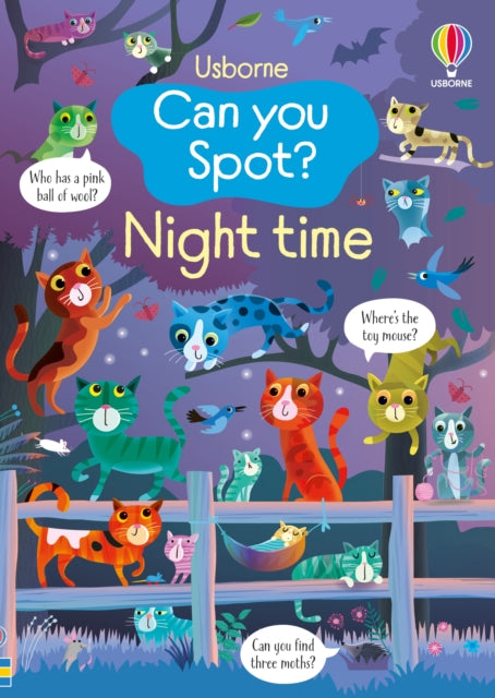 Can you Spot? Night time-9781836041320