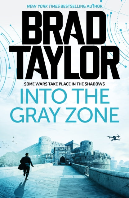 Into the Gray Zone-9781837933358