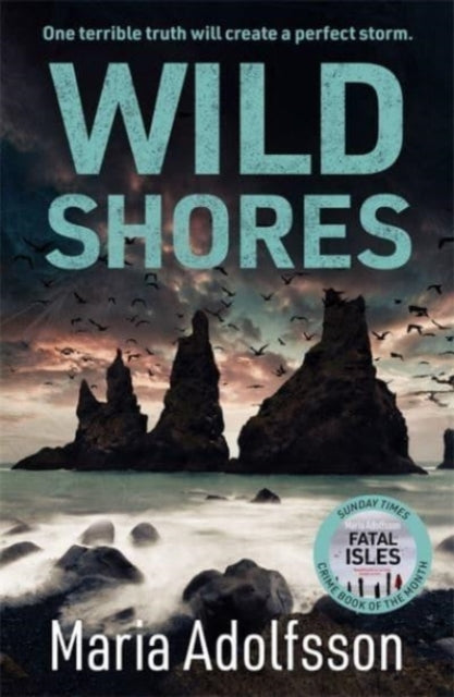 Wild Shores: The bestselling atmospheric police procedural that has taken the world by storm - Maria Adolfsson