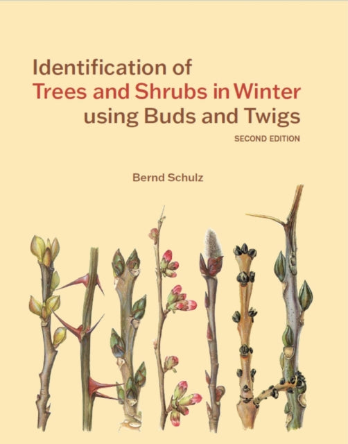 Identification of Trees and Shrubs in Winter using Buds and Twigs-9781842468340