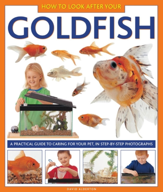 How to Look After Your Goldfish-9781843227335