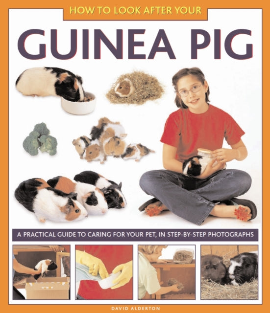 How to Look After Your Guinea Pig-9781843227687