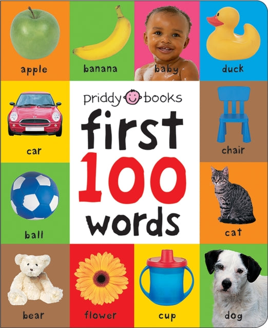 First 100 Words-9781849154208
