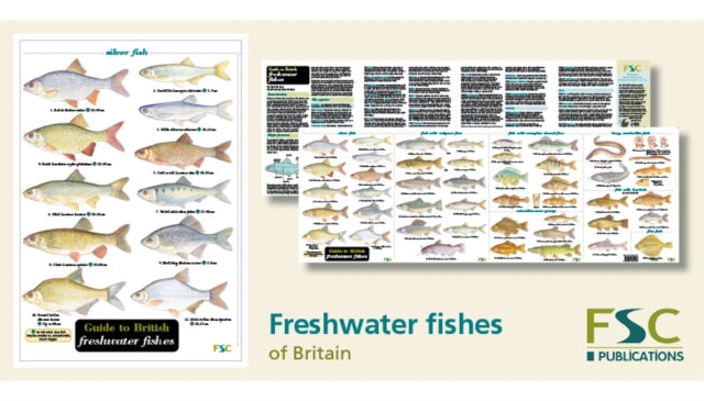 Guide to British Freshwater Fishes-9781851532193