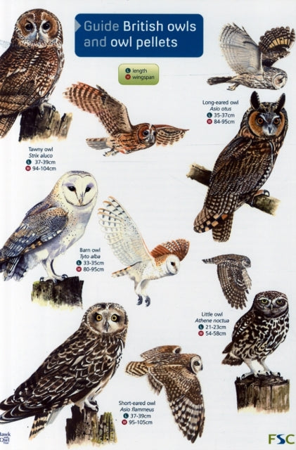 Guide to British Owls and Owl Pellets-9781851532353