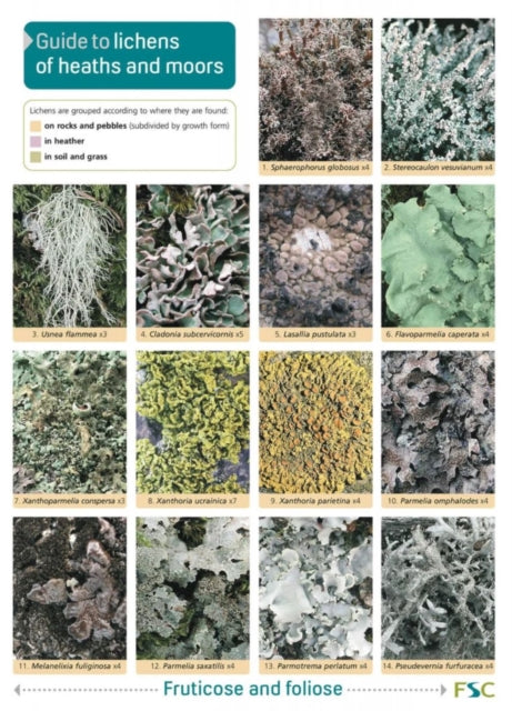 Guide to Lichens of Heaths and Moors-9781851532391