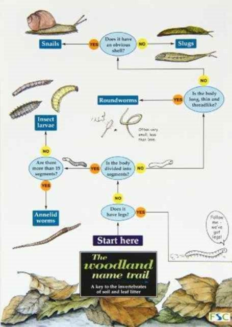 The woodland name trail : A key to the invertebrates of soil and leaf litter-9781851538324